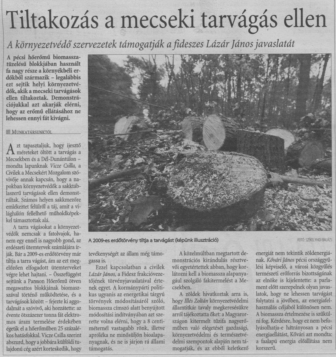 Tiltakozás a mecseki tarvágás ellen : A környezetvédő szervezetek támogatják a fideszes Lázár János javaslatát