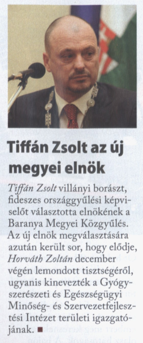 Tiffán Zsolt az új megyei elnök