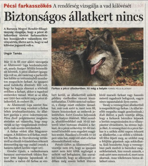 Pécsi farkasszökés. A rendőrség vizsgálja a vad kilövését. Biztonságos állatkert nincs