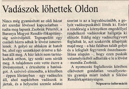 Vadászok lőhettek Oldon